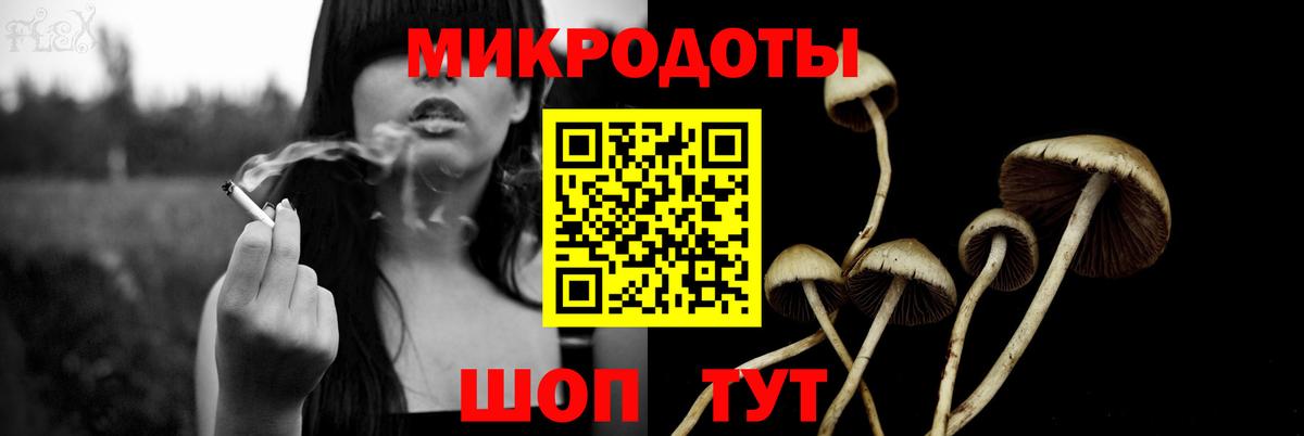 Псилоцибиновые грибы Psilocybe  Вход с VPN  Ахтубинск 